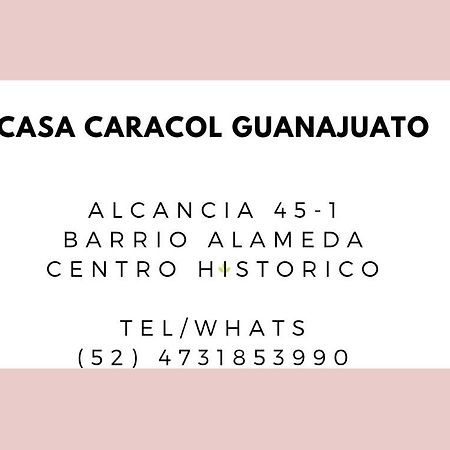 Casa Caracol Guanajuato Aparthotel Exterior foto